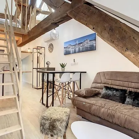Sous Les Toits En Plein Coeur De Apartment